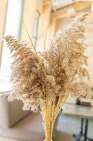 Beige reeds in vase standing on a table in the cafeteria. Minimal, styled concept. Cozy vibes. photo