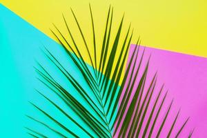 fondo tropical abstracto. hoja de palma verde sobre fondo amarillo, azul y morado.