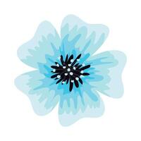 blue flower spring vector