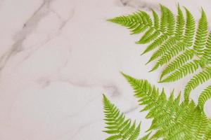 Top view of green tropical fern leaves on white marble background. Flat lay. Minimal summer concept with fern leaf. Creative bakdrop with copy space photo