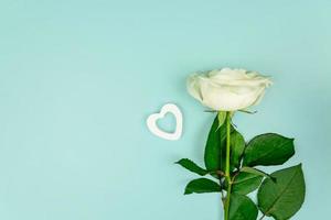 White rose with wooden hearts on light blue background. Top view layout with copy space. Festive greeting card for holidays. photo