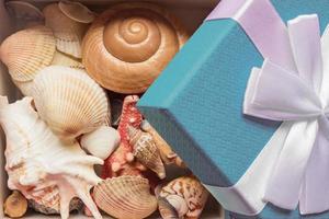 caja de regalo azul con lazo blanco lleno de conchas marinas. vacaciones tropicales en concepto de temporada de invierno foto