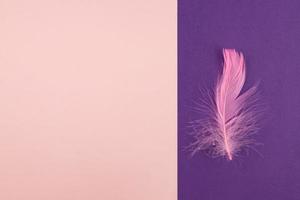 Abstract geometric paper background of pastel pink and purple colors with violet feather. Copy space for design photo