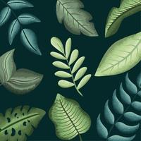 patrón de plantas de hojas de naturaleza vector