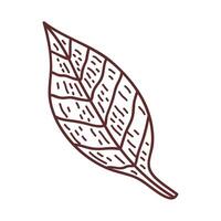 ecology leaf plant vector