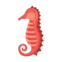 red seahorse animal vector