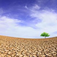 Large field of baked earth after a long drought photo