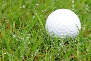 Golf balls on the grass background photo