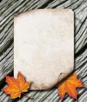 Autumn Leaves on the Old Paper sheet photo