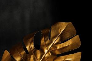 Fashionable luxuary black background eith gold monstera leaf. Copy space for text photo