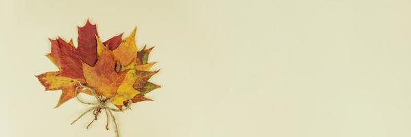 Autumn bouquet of dry maple leaves on wooden background. Banner. photo