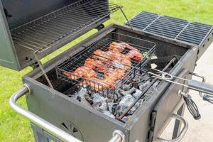 mangal with glilled chicken wings marinated in tomato sauce photo