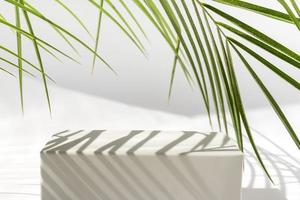 white podium with palm leaves on white background. Concept scene stage showcase for product, promotion, sale, banner, presentation of cosmetic products. Minimal showcase empty mock up. photo