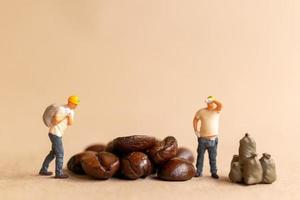 Miniature worker team working with coffee beans photo