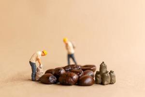 Miniature worker team working with coffee beans photo