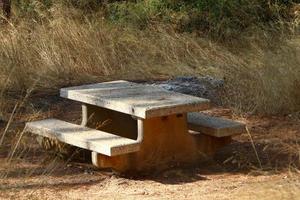 Bench for rest in the city park. photo