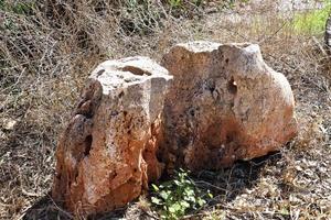 Nahariya Israel May 15, 2020. Stones and shells in a city park on the Mediterranean coast. photo