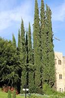 haifa israel 14 de diciembre de 2019. jardines bahai - terrazas de jardín alrededor del santuario del bab en el monte carmelo en haifa. foto