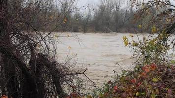 River Po flood in Turin area video