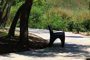 Bench for rest in the city park. photo