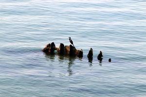 Coast of the Mediterranean Sea in northern Israel. photo