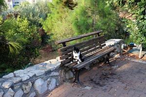 banco para descansar en el parque de la ciudad. foto