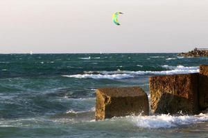 nahariya israel 15 de mayo de 2020. piedras y conchas en un parque de la ciudad en la costa mediterránea. foto