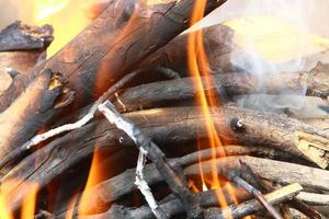 Vegetables and meat are fried on the grill. photo