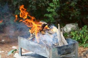 las verduras y la carne se fríen a la parrilla. foto