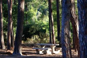 Bench for rest in the city park. photo