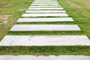 Walkway on green grass photo