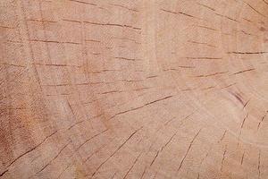 wood texture background photo