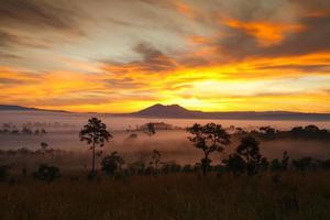 misty morning sunrise in mountain at Thung Salang Luang National Park Phetchabun,Thailand photo