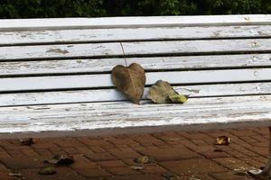 banco para descansar en el parque de la ciudad. foto