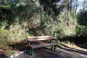 banco para descansar en el parque de la ciudad. foto