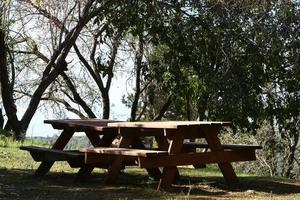 banco para descansar en el parque de la ciudad. foto