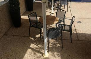 A chair in a city park on the seashore. photo