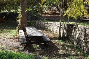 Bench for rest in the city park. photo