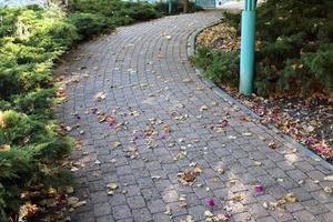 Pedestrian road in the city park. photo