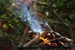 Vegetables and meat are fried on the grill. photo