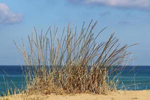 Coast of the Mediterranean Sea in northern Israel. photo