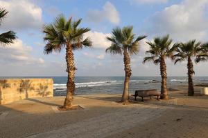 costa del mar mediterráneo en el norte de israel. foto