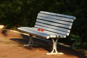 Bench for rest in the city park. photo