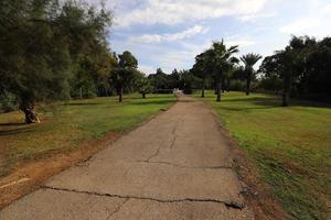 Pedestrian road in the city park. photo