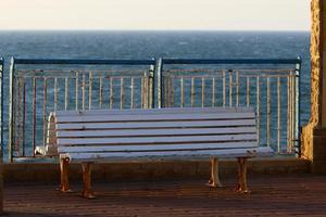Bench for rest in the city park. photo