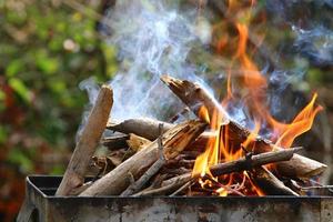 Vegetables and meat are fried on the grill. photo