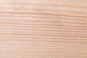 Wood texture background photo