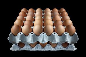 Eggs in paper tray on black background photo