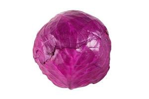 red cabbage on white background photo