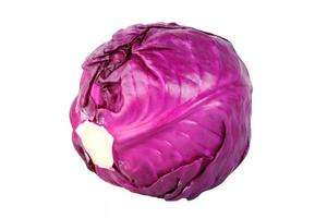 red cabbage on white photo